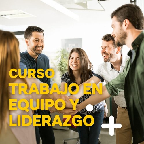 CURSO TRABAJO EN EQUIPO Y LIDERAZGO