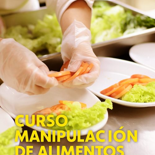CURSO HIGIENE Y MANIPULACIÓN DE ALIMENTOS